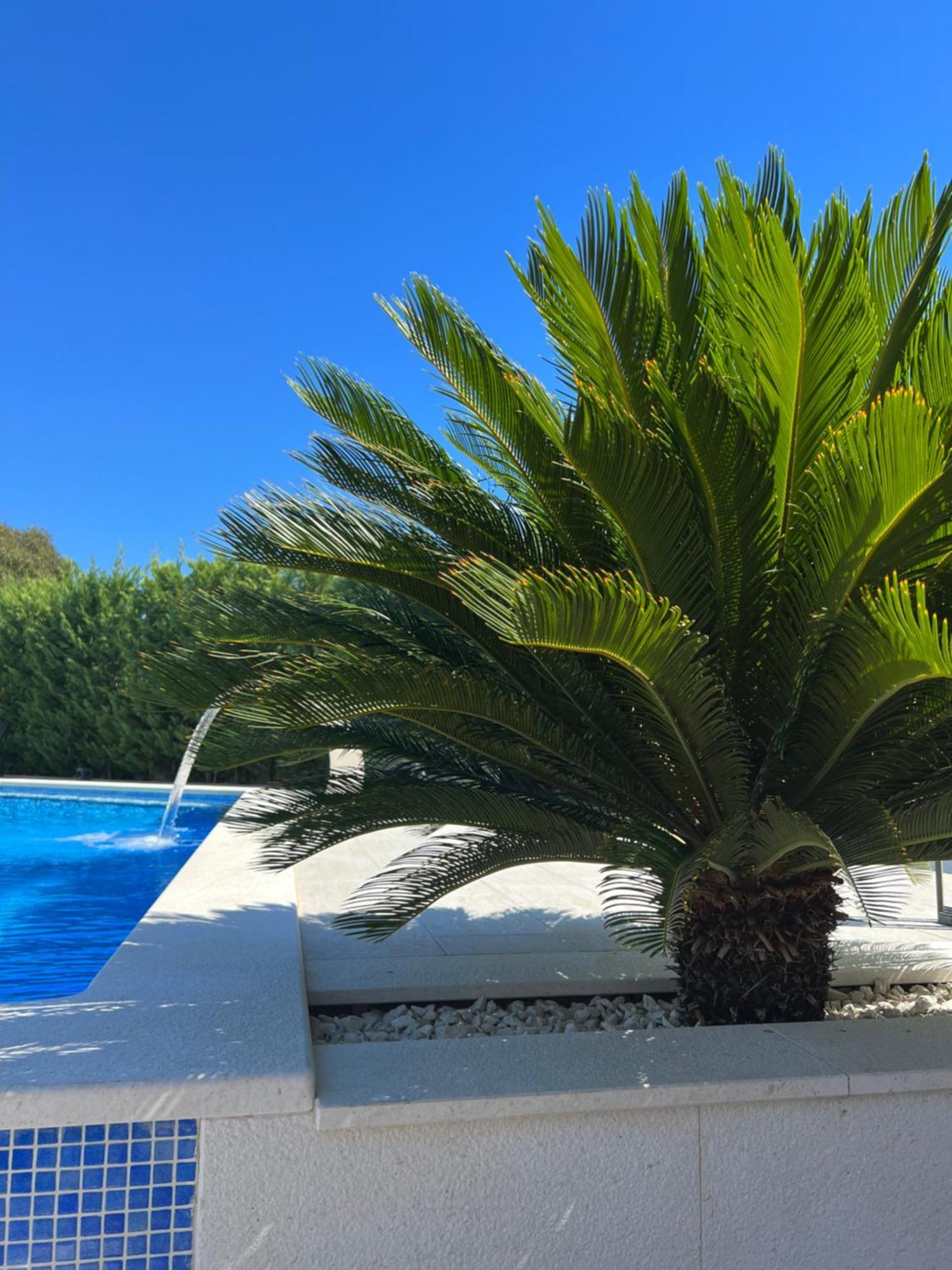 Luxury Sundance Trogir